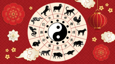 Дело мастера боится: китайский гороскоп на неделю с 4 по 10 сентября